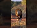 اسمي لوحده زلزال