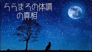 ららまろの体調の真相