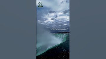 سورة القدر • مكية • بصوت ناصر القطامي | عدد الآيات: 5 #قرآن #Quran #تلاوة #قرآن_كريم #القدر