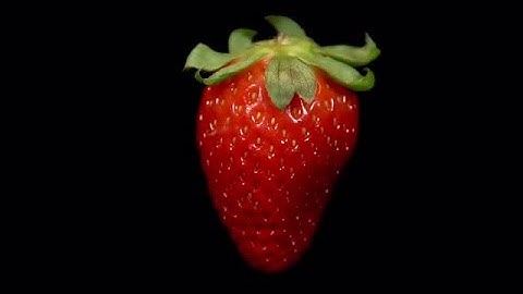 Rotating Strawberry Stock Video