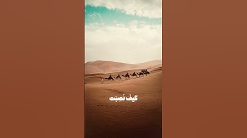 ﴿ أفلا ينظرون إلى الإبل كيف خلقت ﴾  سورة الغاشية - #quran #قرآن #القرآن_الكريم #explore