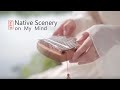 Native Scenery on My Mind - Relaxing Music, Sleeping Music, Kalimba Cover by April Yang