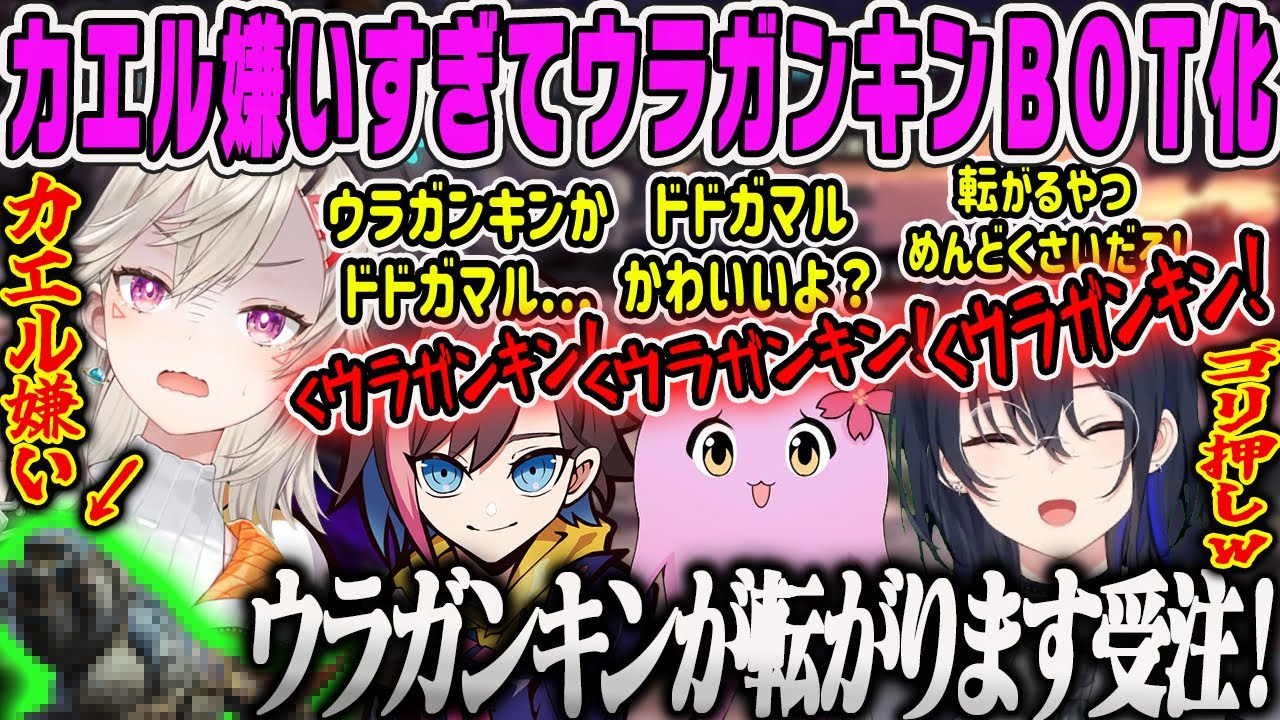 【一ノ瀬うるは】カエルが嫌い過ぎてウラガンキンゴリ押しBOTになるめとMHW【小森めと、SqLA、CRきなこ、モンハン、モンハンワールド、ぶいすぽ】