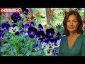 Must Watch Beautiful Viral Video Everyone Is Talking About