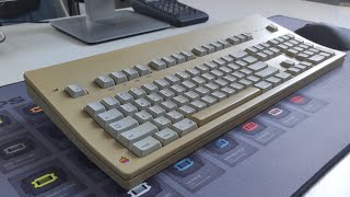 Apple Extended Keyboard I w/ ALPS SKCM Salmon | Typing Test