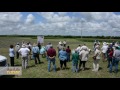 2017 Field Day at Texas A&amp;M AgriLife Research and Extension Center, Temple