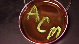 Science - Phage Hunters - Allegany College of Maryland