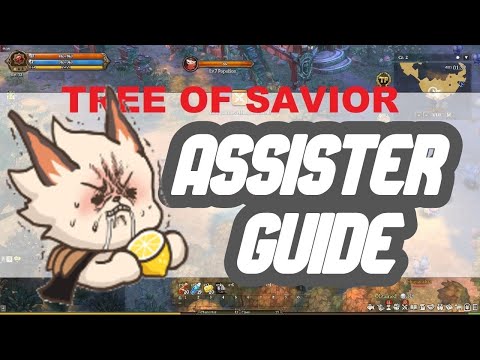 Assister Guide - Tree Of Savior