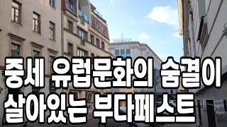 이정후 모자 벗겨질 정도로 전력질주 + 환상적 호수비 뽐내며 멀티 출루! 끝내기 홈런 샌프란시스코 피츠버그에 승리