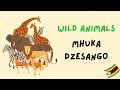 Learn wild animals in shona