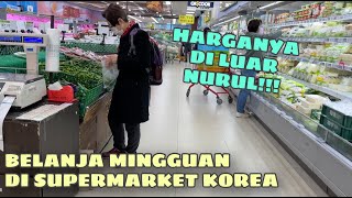 DI LUAR NURUL!!! HARGA KEBUTUHAN DI SUPERMARKET KOREA | BELANJA MINGGUAN DI KOREA