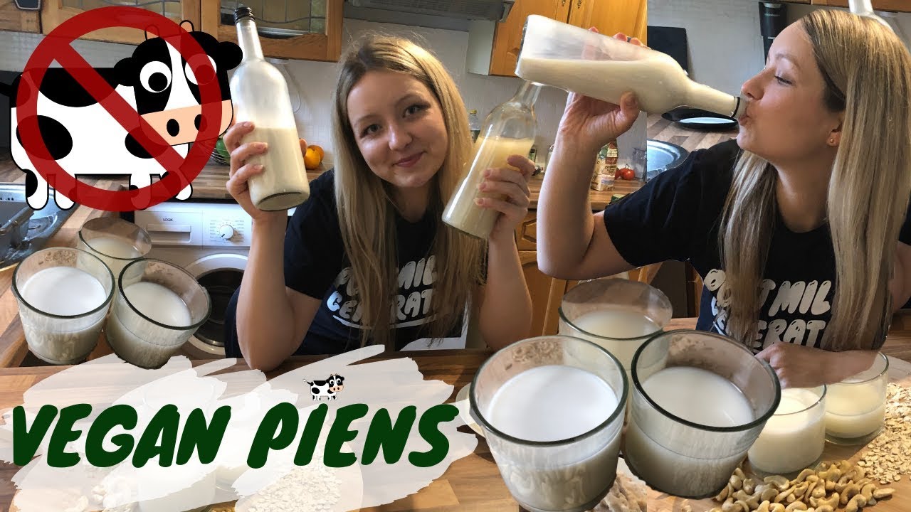 3 AUGU PIENI: Auzu, Indijas riekstu un Rīsu | Planbased ZERO WASTE piens | Vegāniskas receptes