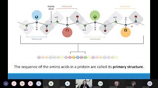 Lesson #5 - Protein Synthesis