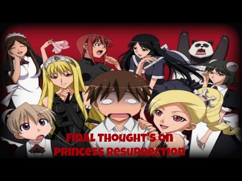Final Thought S On The Anime Princess Resurrection 