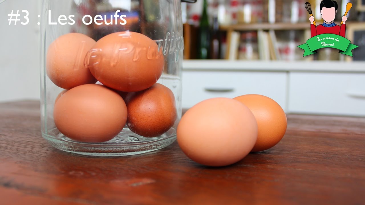 [Cours] Les oeufs YouTube — free download