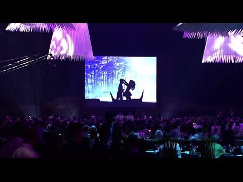 APEC's welcome dinner cultural performances