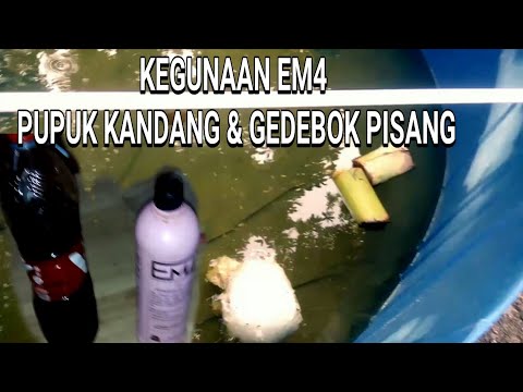 Video: Selama proses pengendapan?