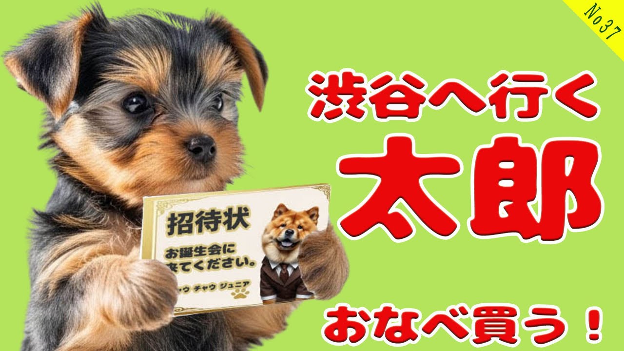 No37. 🐾 太郎へ、チャウチャウJrが、招待状を持ってきた