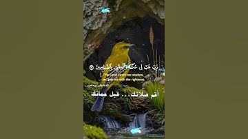 تلاوة خاشعة عطرة مباركة جميلة عذبة للشيخ فارس عباد ماتيسر من سورة الشعراء