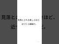 マツバウンラン #松葉海蘭 #中井源 #北アメリカ原産