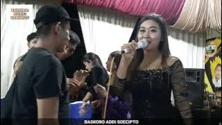 terbaru !!! KEWANGON KOPLO || ELVIO MUSIC KARANGPUCUNG CILACAP || novi cuy