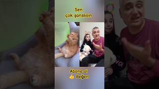 Sen Çok Şanslısın 😂 Resimi