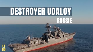 Destroyer Udaloy