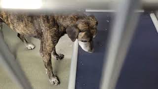 acs A510356