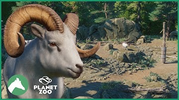 Dall Sheep Habitat | Elm Hill City Zoo | Planet Zoo
