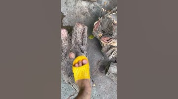 6 cục trắc dây 41kg giá 750k + cước ạ đục đẽo bao đẹp