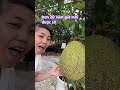 Chỉ Được Sờ Không Được Mua #kamiyahangjp #cuocsongonhat #vovietchongnhat
