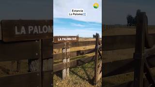 Estancias en la Provincia de Buenos Aires!! #agriculture #estancias #campo #agro #farm #short