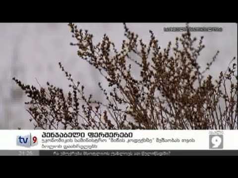 ახალი 9 | პანჯაბელი ფერმერები | 09.01.13