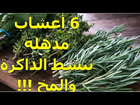 فيديو: ما الذي يجعل المادة الغروانية مادة غروانية؟