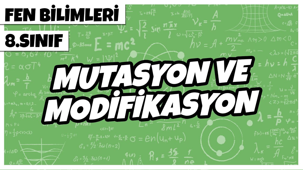 8. Sınıf Fen Bilimleri - Mutasyon ve Modifikasyon | 2022