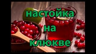 клюквенная настойка  (работа над ошибками)