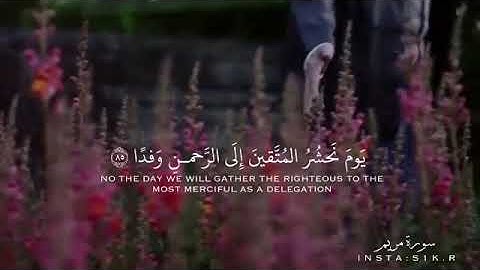 يوم نحشر المتقين إلى الرحمن  وفدا  (٨٥) سورة مريم