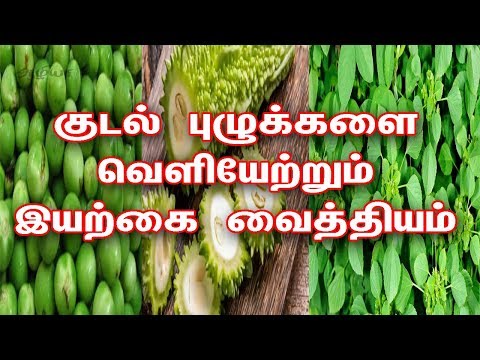குடல் புழுக்கள் நீங்க | Home Remedies For Intestinal Worms In Tamil