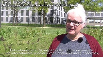 Food systems for healthier diets | Wageningen University & Research