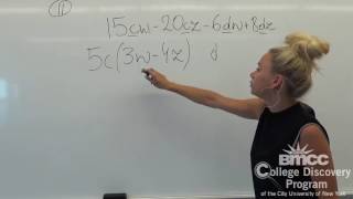 CUNY ELEMENTARY ALGEBRA FINAL EXAM (CEAFE) Sample Exam Form C Problem #11
