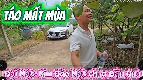 CÙNG EM HÙNG TAM DỊ THĂM VƯỜN TÁO ĐẸP I NÚI ĐỒI LỤC NGẠN