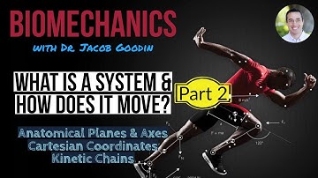 Biomechanical System & Motion Part II
