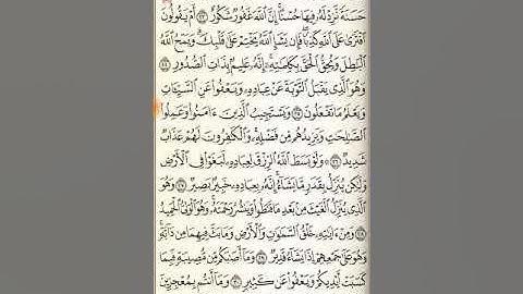 سورة الشورى من آية ٢٧ حتى سورة الزخرف آية ٢٣ !!!