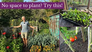 Interplanting tips for early autumn| Gardeing Tips and Tricks| Charles Dowding