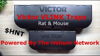 Victor VLINK Traps - Powered By The Helium Network | CAUGHT A MOUSE! ($HNT)