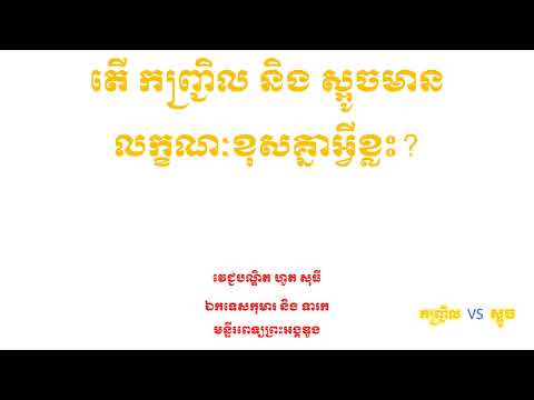 តើ កញ្ជ្រិល និង ស្អូចមានលក្ខណៈខុសគ្នាអ្វីខ្លះ? measles vs rubella