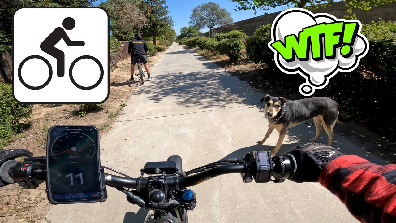 Eggrider v2 / BAC4000 Sold / New Route 