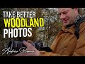 SIMPLE tips to Improve your Woodland &amp; Forest Photos