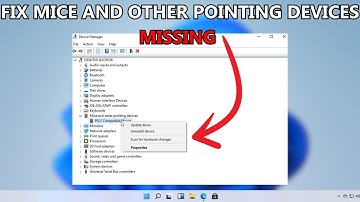 Fix Mice and Other Pointing Devices Missing from Device Manager in Windows 11 / 10 ✔️