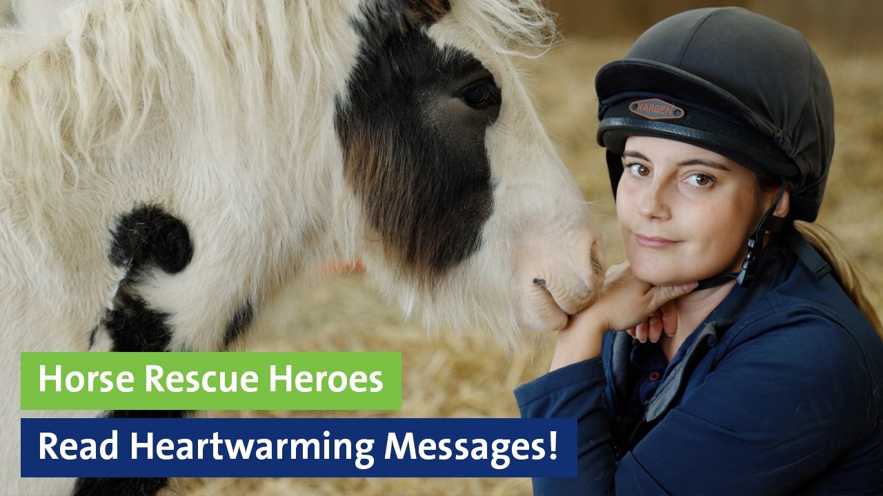 Horse Rescue Heroes Read Heartwarming Messages! - YouTube